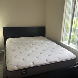 Queen Bed With Mattress