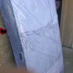 Daybed WTH new Matress it’s tan line new