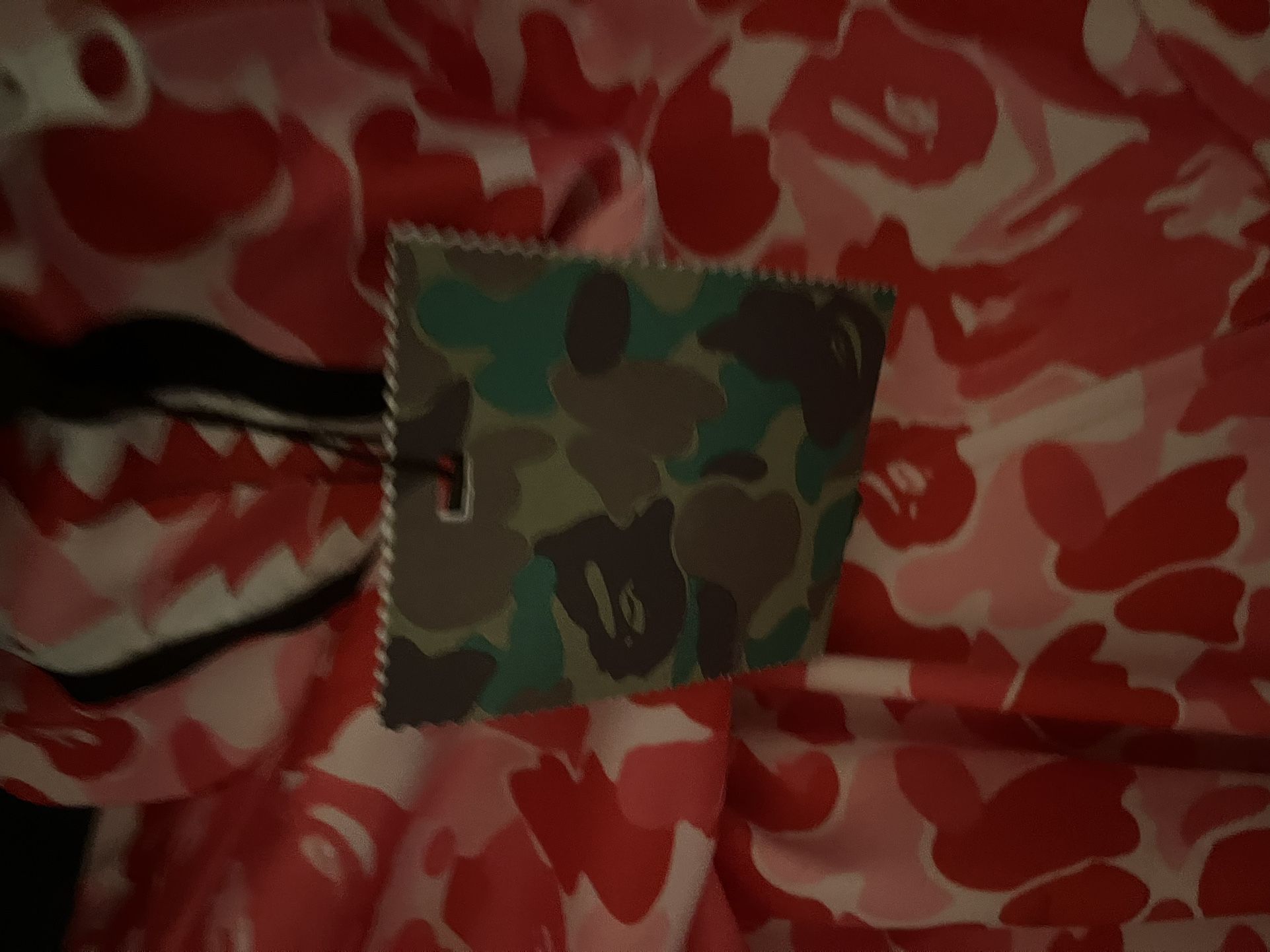 bape hoddie M