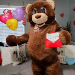 Valentines Teddygram Delivery Service