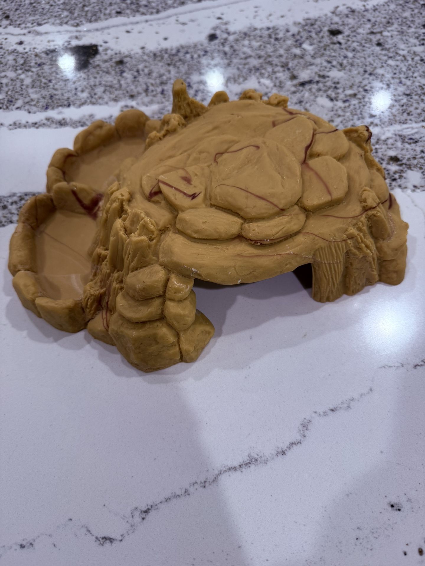 Reptile house With Food And Water Dish Attached