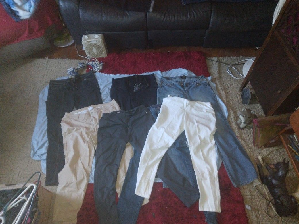 Womens Pants