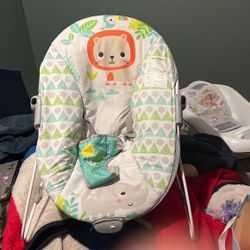 Baby Bouncer