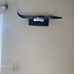 Bull Horns