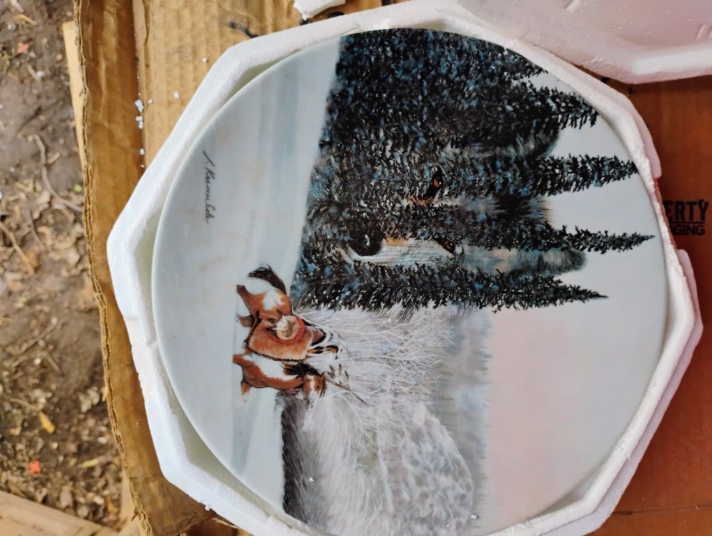 Native American Heritage Plate