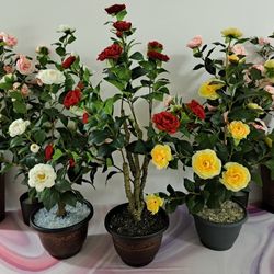 SPECIAL ... ROSE 🌹... Faux Camellias / Planters & Vases @ Lasting Creations