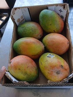 Mangoes premium 6 count