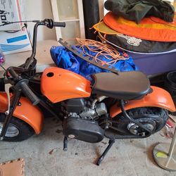 Rare Hawk Ty Mini With Springer Frt End