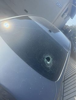 Windshield