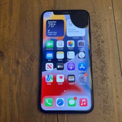 iPhone X 256GB Space Gray Unlocked 