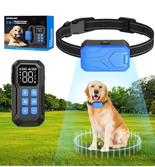 Dog Collar