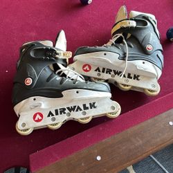 Roller Blades 