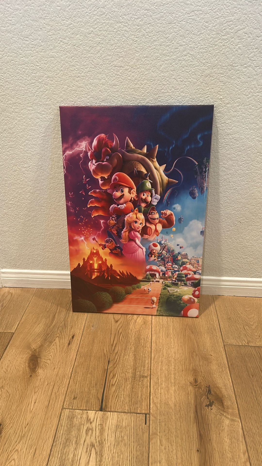 Super Mario Bros Movie Art 