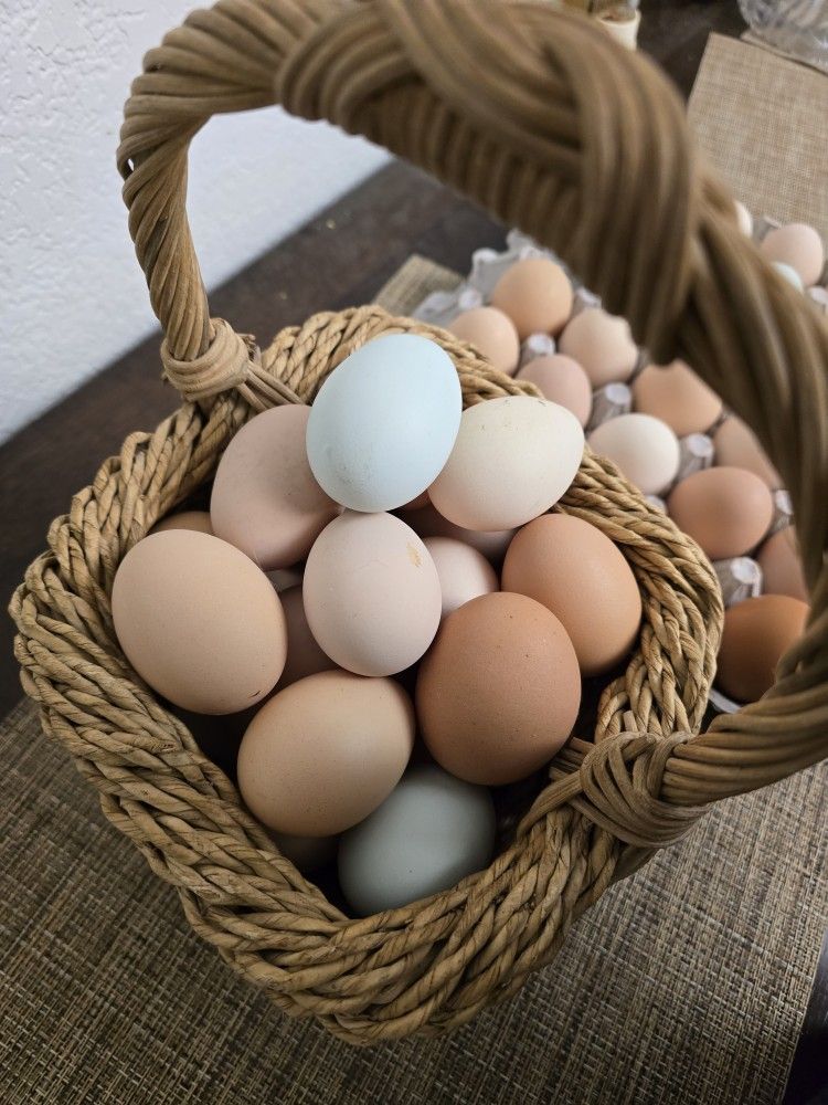 Fresh Farm EGGS