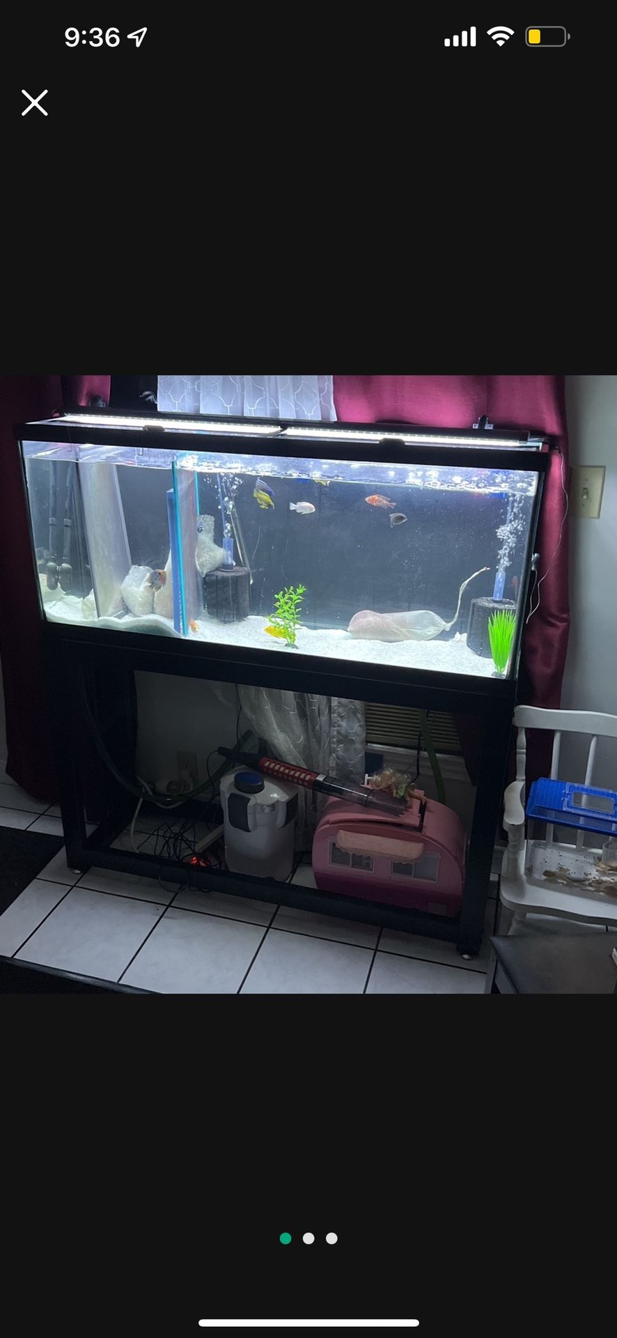 55 Gallon Tank With Stand And Glass Lids .