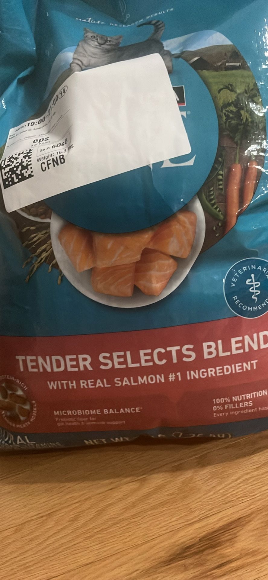 Car Food