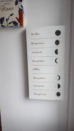 Moon painting