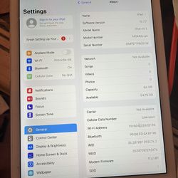 Apple IPad Air 2 Wifi+Cellular