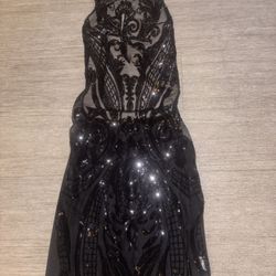 Shiny Black Small Dress 