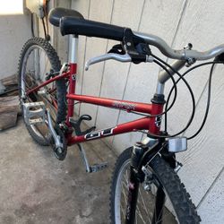Gt Mountain Bicycle 