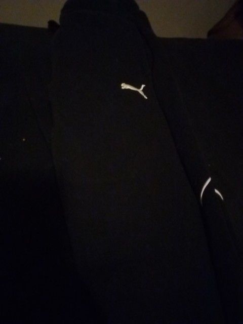 Puma