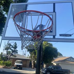 Basketball Hoop Lifetime Brand 