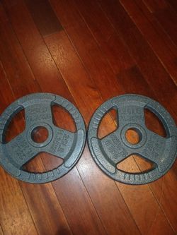 Two 25 pound plates gym