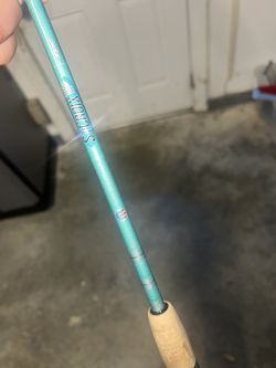 Avid Inshore Spinning Rod