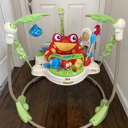 Fisher-Price Baby Bouncer
