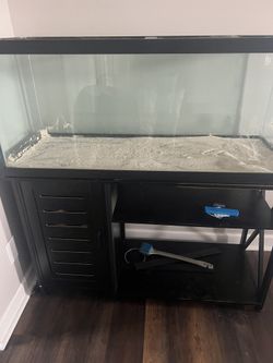 Fish Tank For Sale