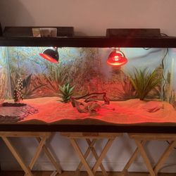 Terrarium