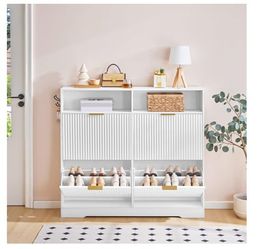 Shoe Storage Cabinet