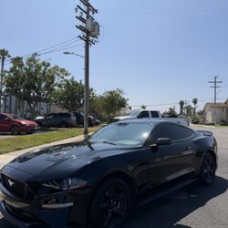 2019 Ford Mustang
