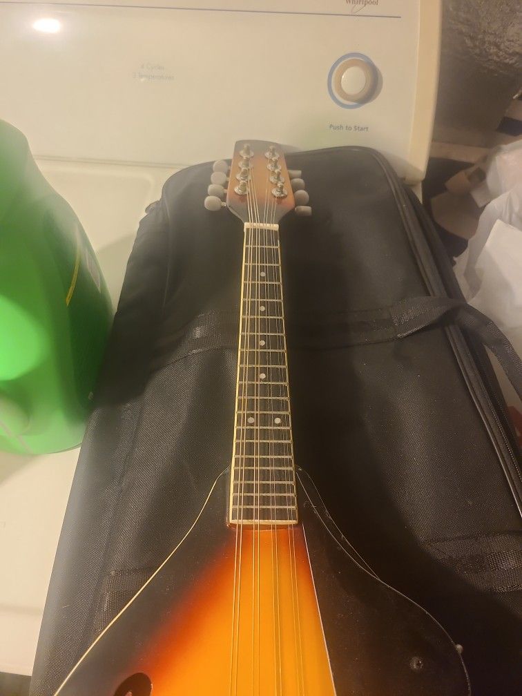 Mandolin Stage M20