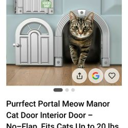 New Cat Door 