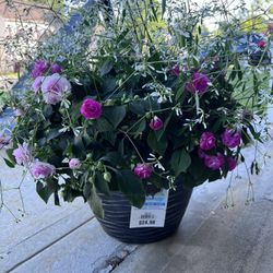 Hanger Basket (2)