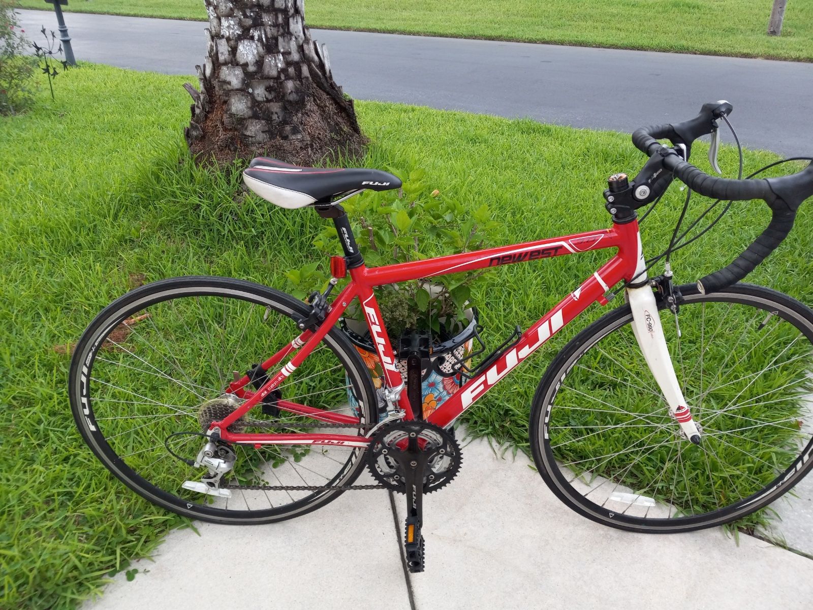 Fuji Newest 1.0 Altair Custom Alloy Road bike