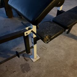 Weight bench free