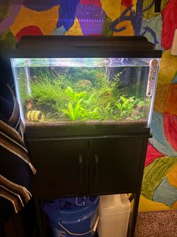 10 gallon aquarium with stand and supplies