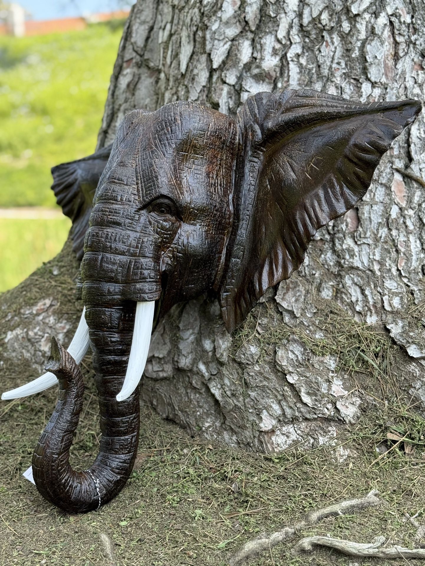 Hand Carved Wooden Wall Hanging Elephant 🐘 Head Sculpture