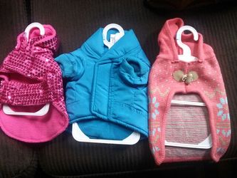 Keep your pets warm small doggy coats Martha Stewart pets