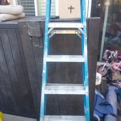Ladder 6ft Fiberglass