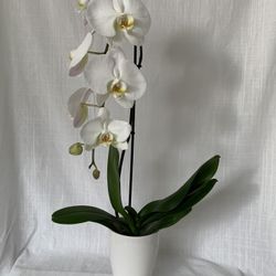 small white vase. ( Plant Not Included