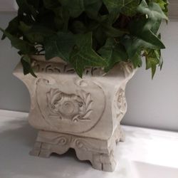 Plant Decor