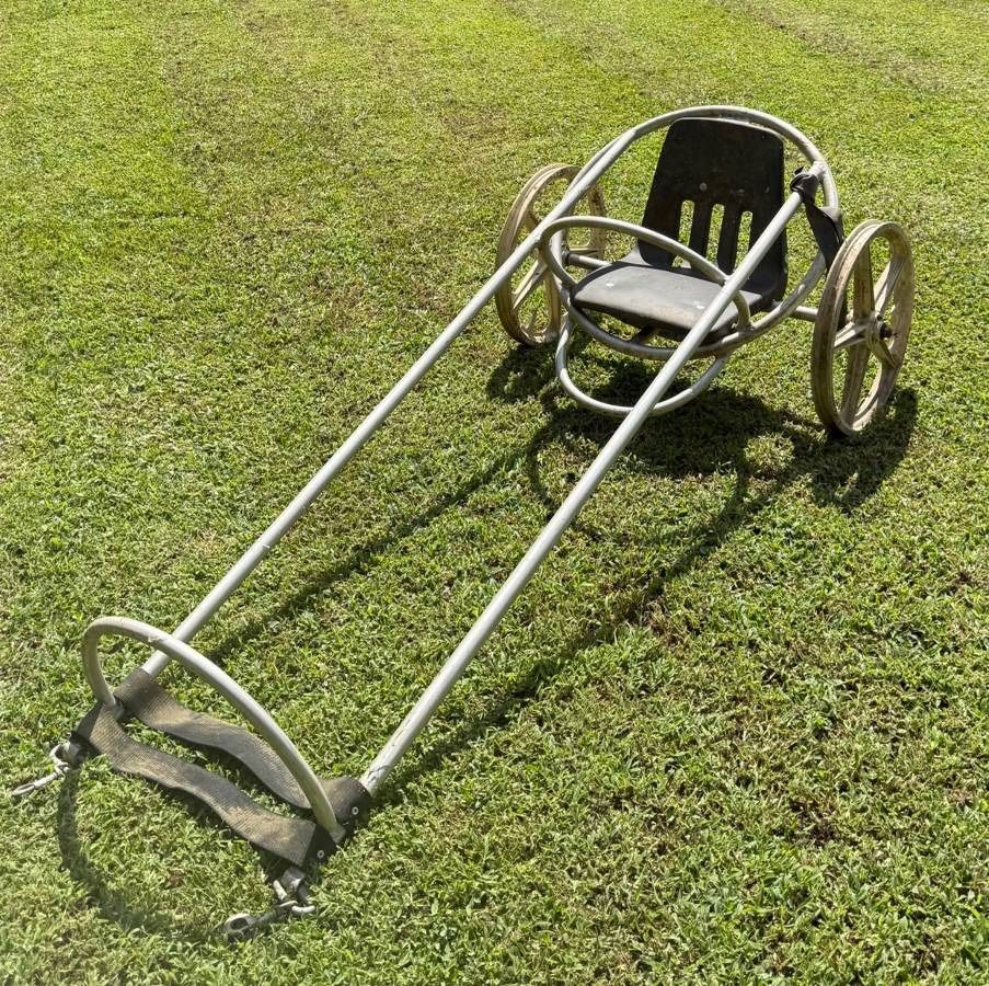 Vintage ACS Z MAG Sport Trainer Jog Cart Horse Training Sulky Ricksaw