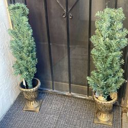 3.5  -FOT 2 tree with white  lights