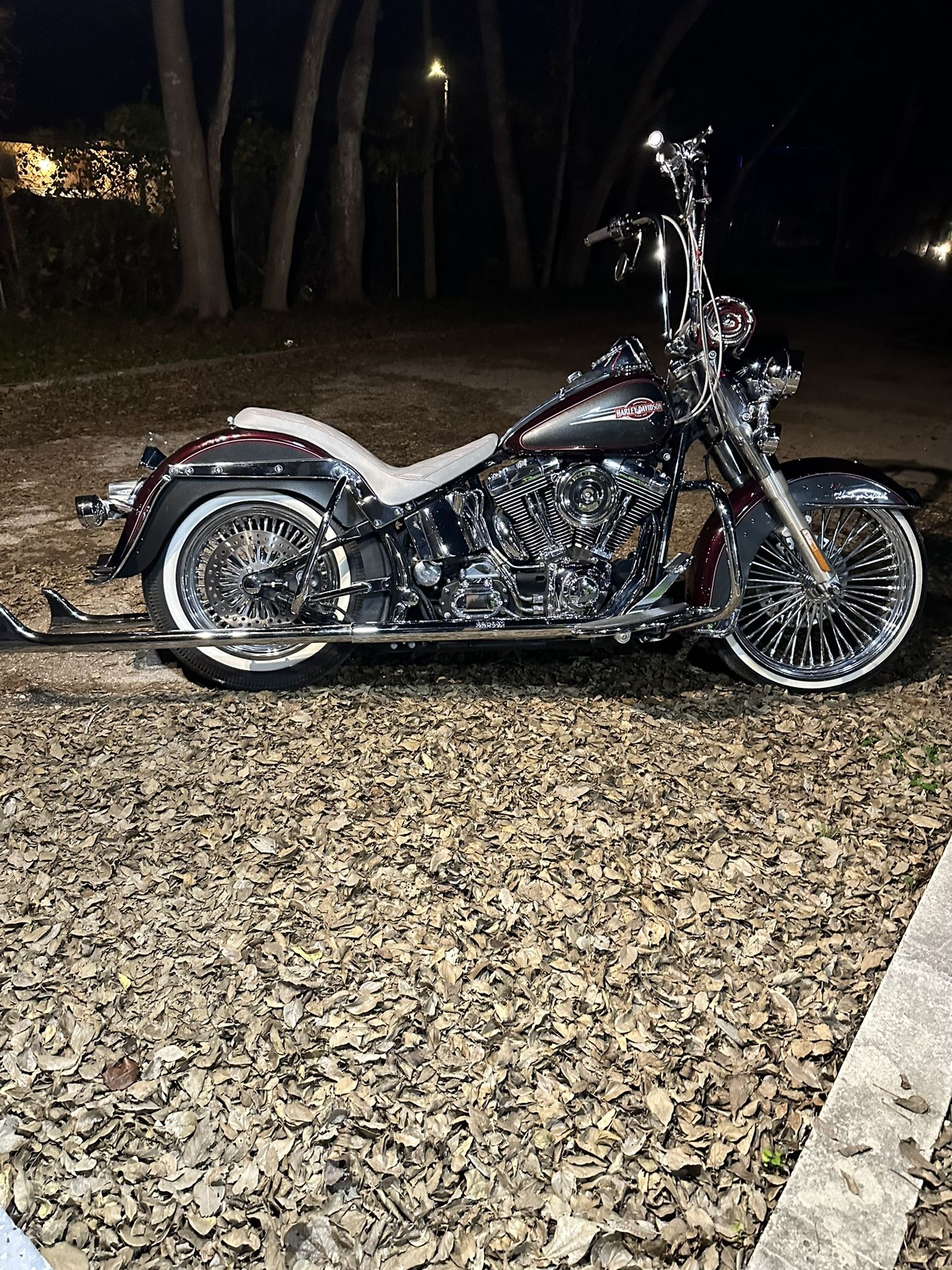 2005 Harley Heritage softail