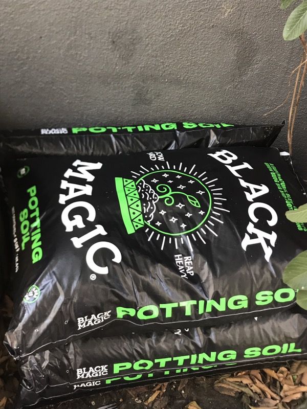 Selling Black Magic Potting Soil for 15$. Percent for growing anything.