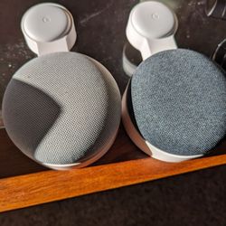 Google Home Bundle