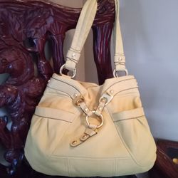 Very Beautiful Butterscot Color Pocketbook